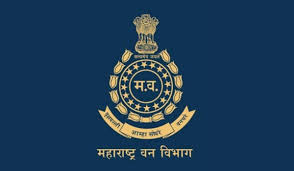 महाराष्ट्र वन विकास महामंडळाच्या १ हजार ३५१ पदांच्या सुधारित आकृतीबंधास मंजुरी