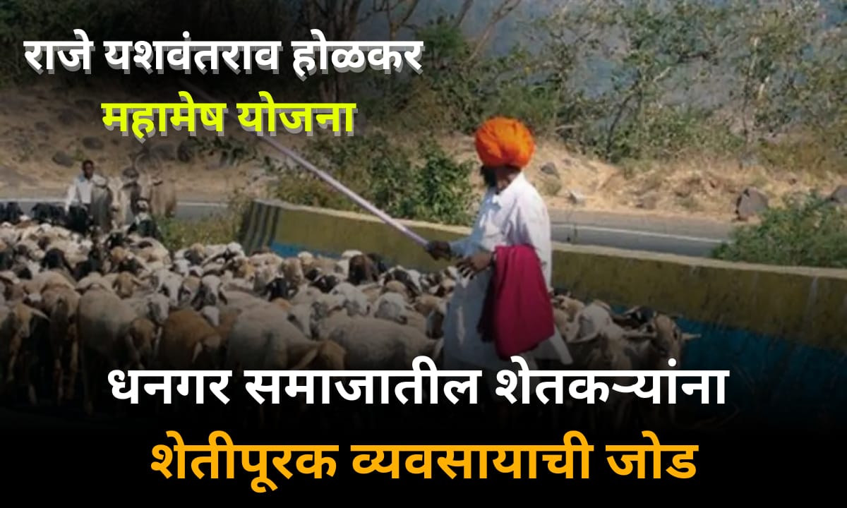 शेतीपूरक राजे यशवंतराव होळकर महामेष योजना