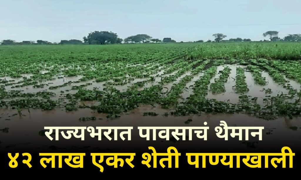 अतिवृष्टीचा तडाखा; राज्यातील ३० जिल्ह्यांतील ४२ लाख एकर शेती पाण्याखाली