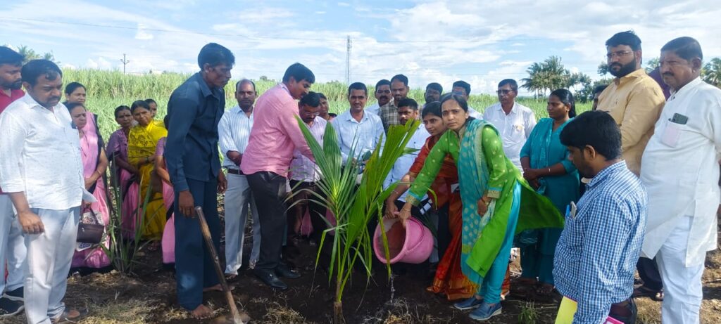 जिथे उस तिथे बांधावर नारळ लागवड' उपक्रमाचा वाणेवाडी येथे शुभारंभ