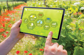 कीड व्यवस्थापनावर डिजिटल शेतीशाळेचे आयोजन