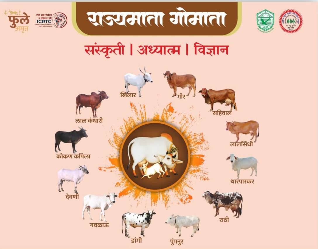 देशी गो संवर्धन लेख मालिका - भाग-३