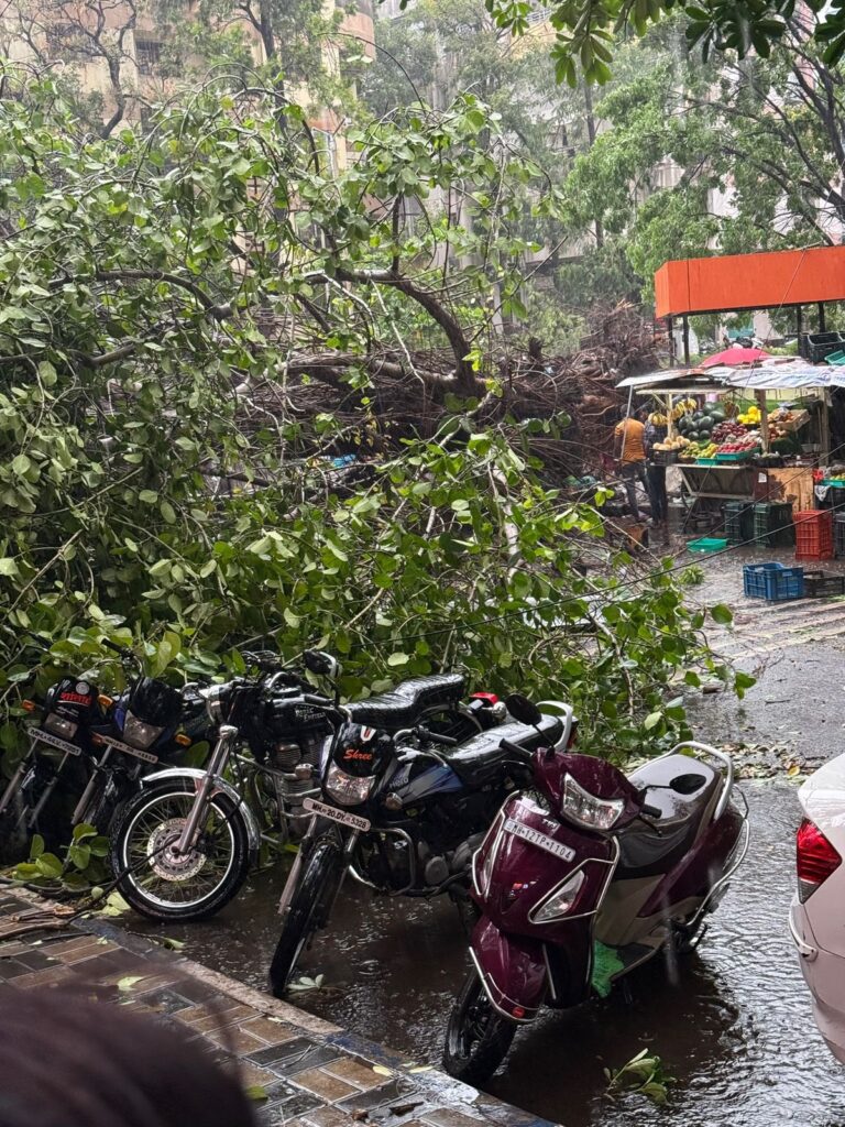 मुसळधार पावसाने फुलविक्रेत्या महिलेच्या अंगावर कोसळले झाड