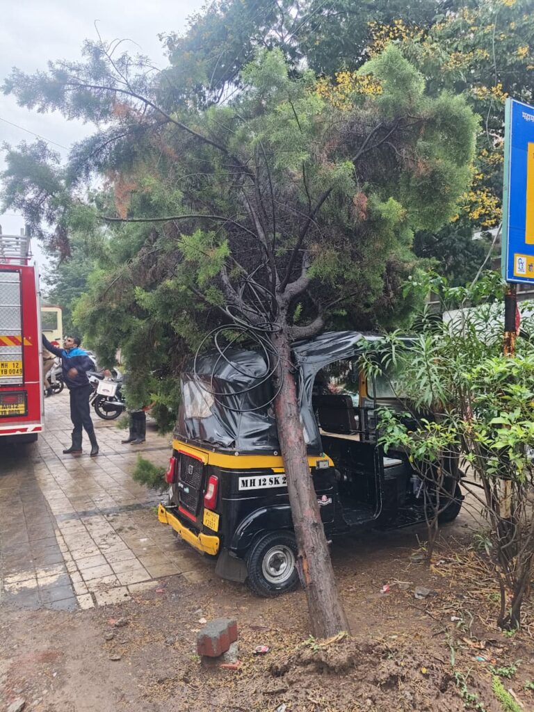 पुण्यात अवकाळी पावसाचा तडाखा, ८२ ठिकाणी झाडपड