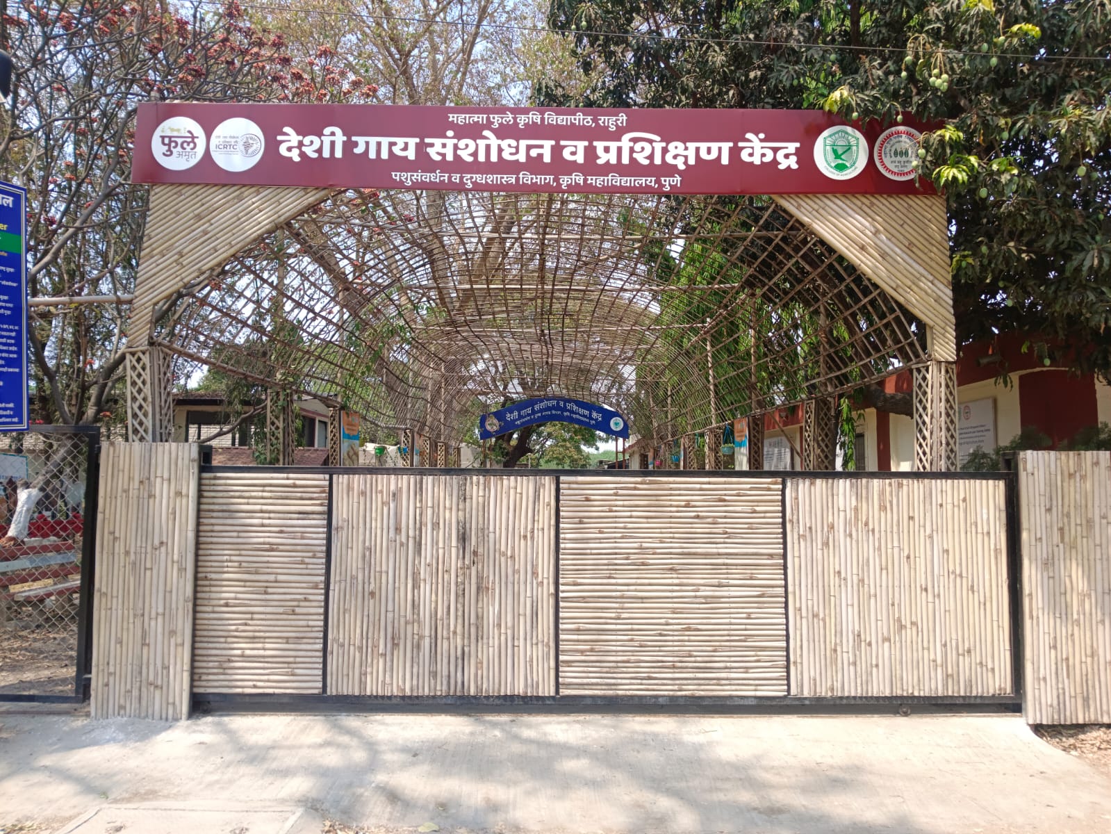 देशी गो संवर्धन लेख मालिका; देशी गाईपासून शाश्वत शेतीकडे: संशोधनाची प्रभावी वाटचाल