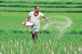 पुणे विभागात खताच्या काळाबाजार व साठेबाजीविरोधात कृषी विभागाची मोठी कारवाई