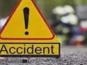 कात्रजमध्ये वाहनाच्या धडकेत श्वानाचा मृत्यू