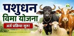 पशुधन विमा योजनेसाठी अर्ज मागविण्यास सुरुवात