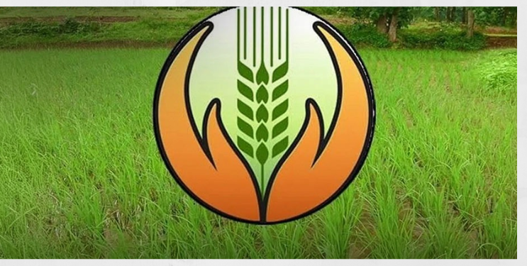 Ambiya Bahar Crop Insurance 2026