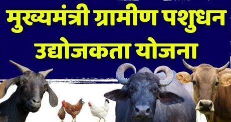 Mukhyamantri Gramin Pashudhan Yojana : मुख्यमंत्री ग्रामीण पशुधन उद्योजकता योजनेसाठी लवकरच ऑनलाइन अर्ज