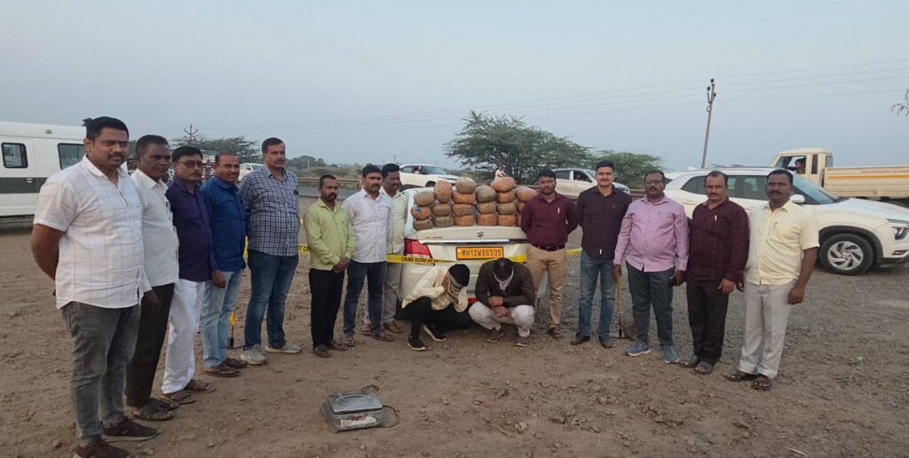 Yavat Ganja Smuggling : यवत परिसरात गांजा तस्करीचा पर्दाफाश