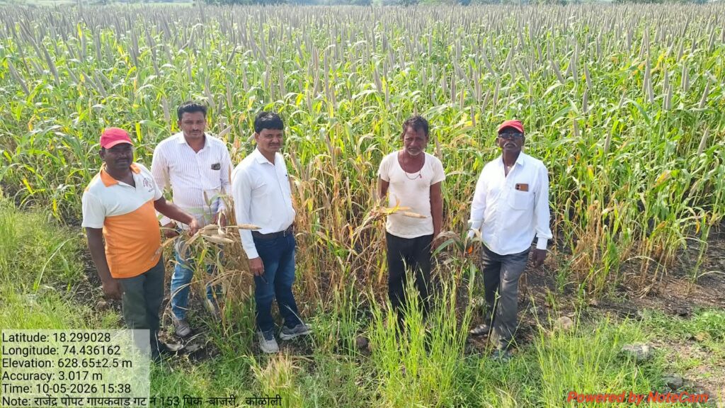 Baramati Crop Damage : दुष्काळी परिस्थितीच्या पार्श्वभूमीवर पिकांच्या नुकसानीचे पंचनामे सुरु