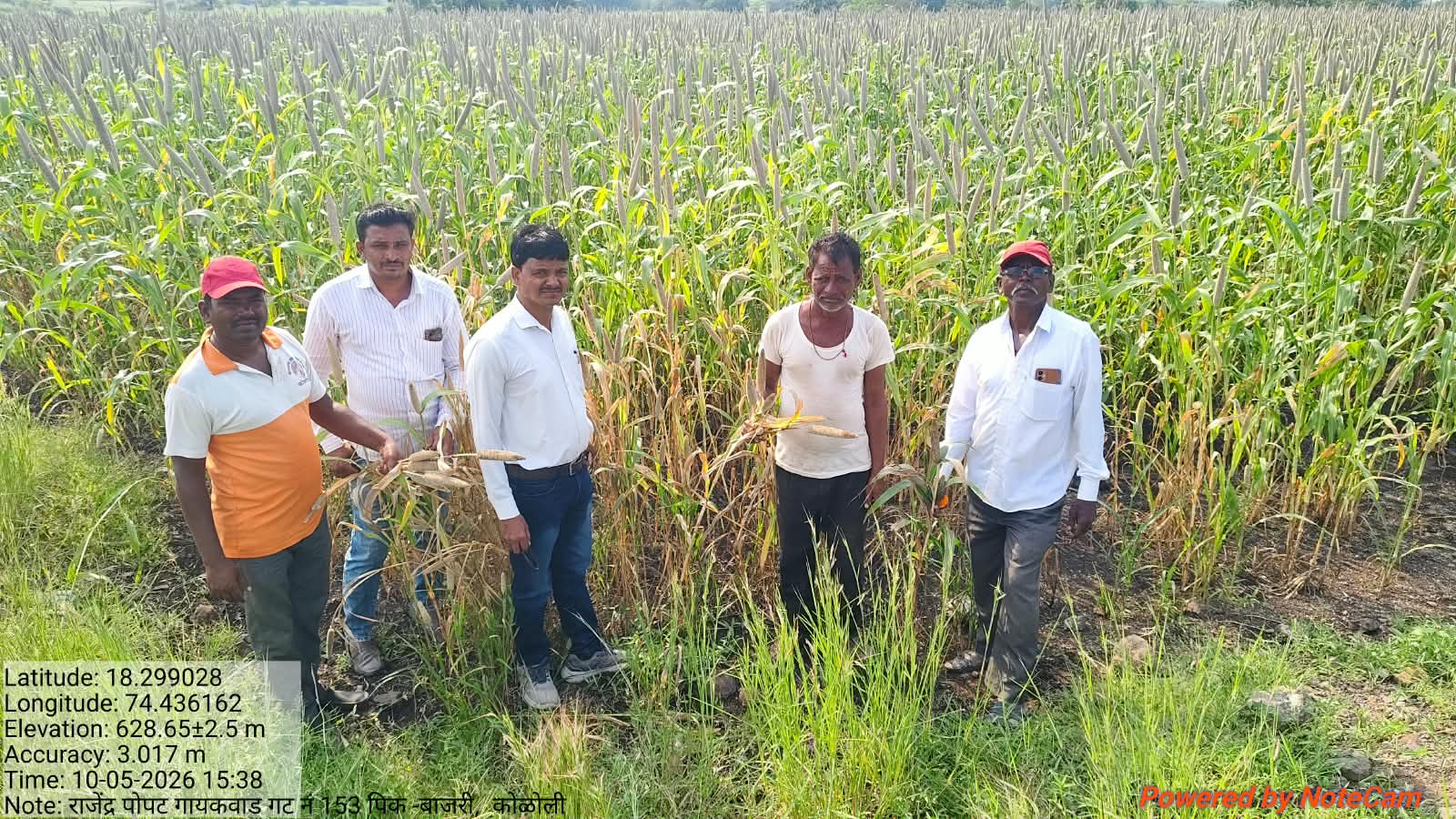 Baramati Crop Damage : दुष्काळी परिस्थितीच्या पार्श्वभूमीवर पिकांच्या नुकसानीचे पंचनामे सुरु